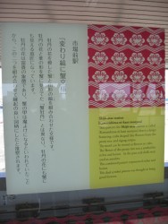 IMG_4150.JPG