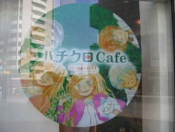 IMG_4178.JPG