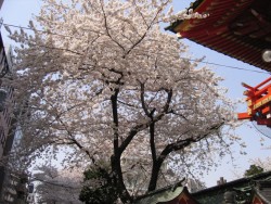 IMG_4200.JPG