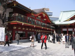 IMG_4203.JPG