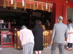 IMG_4207.JPG