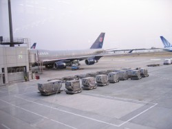 IMG_4223.JPG